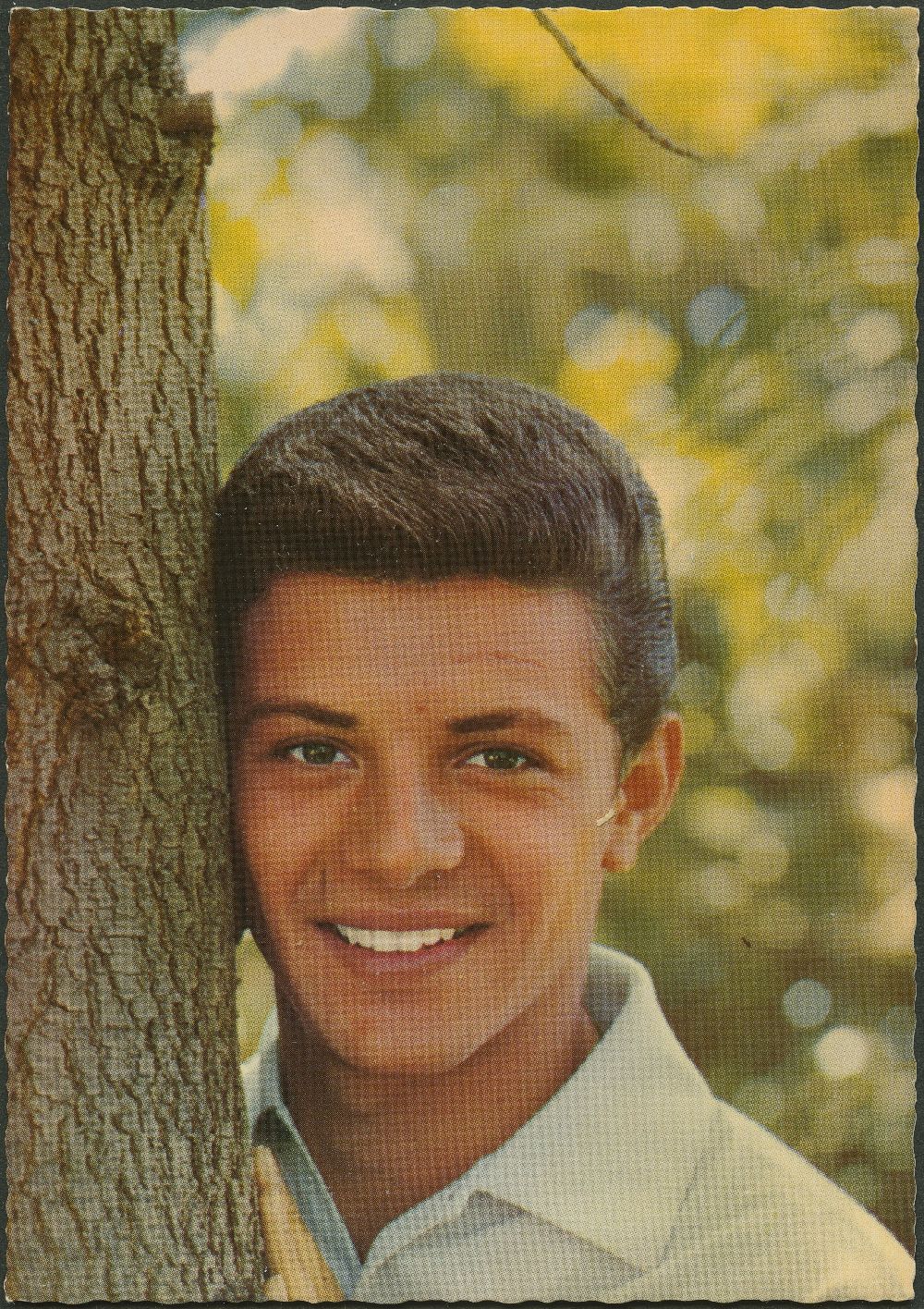 (image for) Frankie Avalon #0119